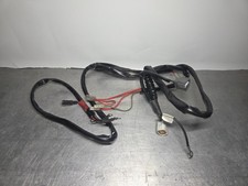 Rotax Max Pre-Evo Wiring Loom