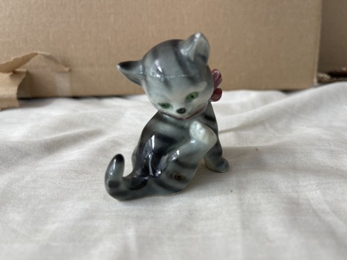 Goebel grey tabby kitten - grey,