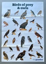 UK .The Guardian  wall chart