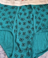 Vtg HANES BRIEF Size XL