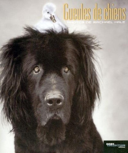 Gueules chiens hale - gueules, de
