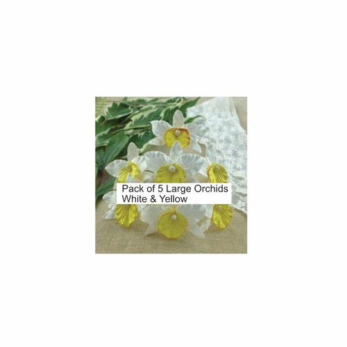 Large orchids white - -, &