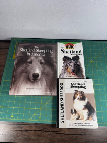 Sheltie shetland sheepdog - shetland,
