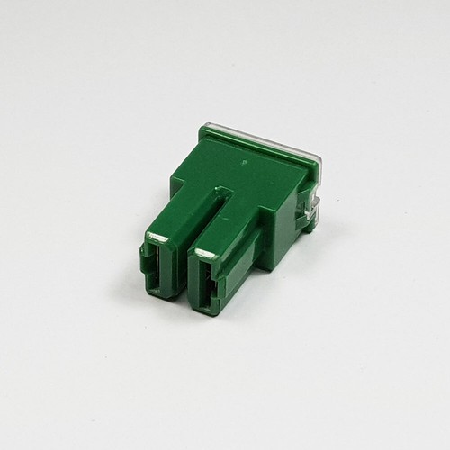 Amp green japanese 40a pal - japanese,