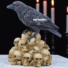 Raven Crow Skull Pile Gothic