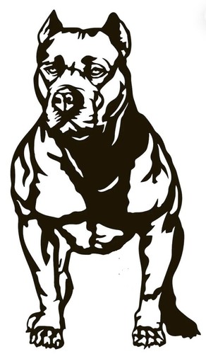Large pit bull dog - large,