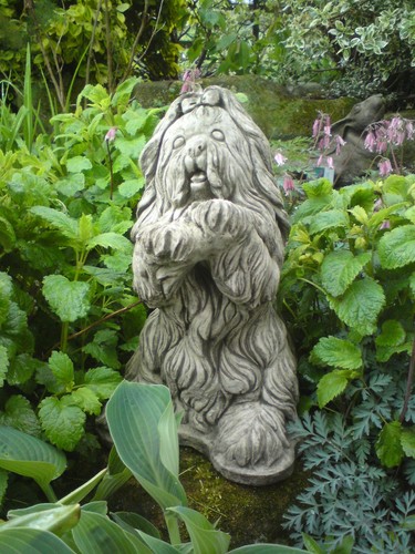 Stone garden begging - 🇬🇧,