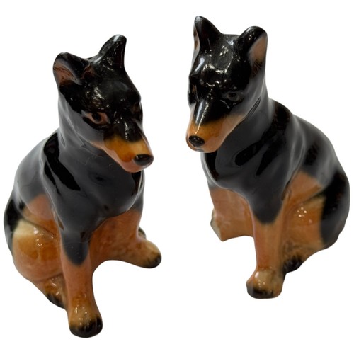 Vintage doberman pinscher - pinscher, dogs