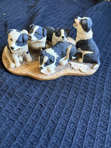 Border fine arts collie - arts, pups