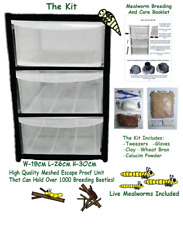 Mealworm Breeding Kit For Reptiles, Birds, Fish And Small Mammals.