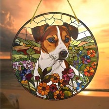 Jack russell dog - dog, catcher