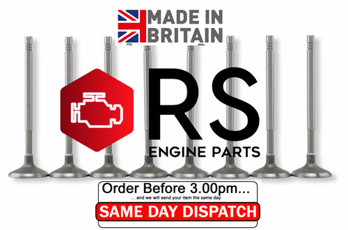 Exhaust valve for - exhaust,