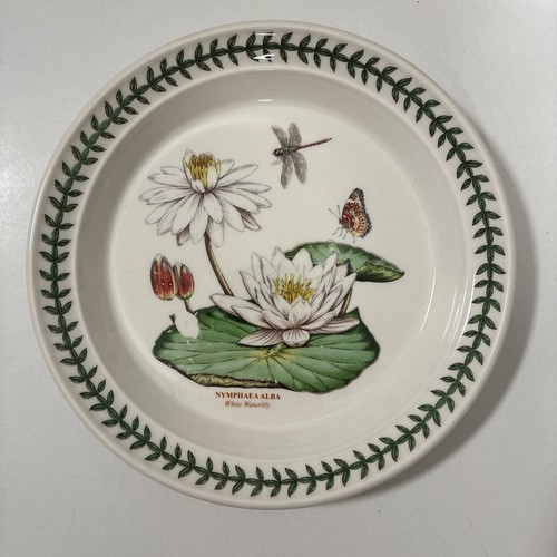 Portmeirion exotic botanic - exotic,