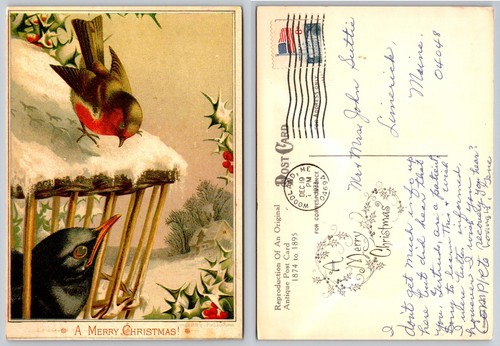 Christmas robin caged - christmas, &