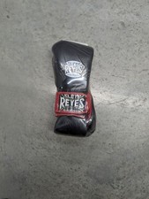 Cleto Reyes Adult Boxing