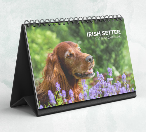 Irish setter desk calendar - irish,