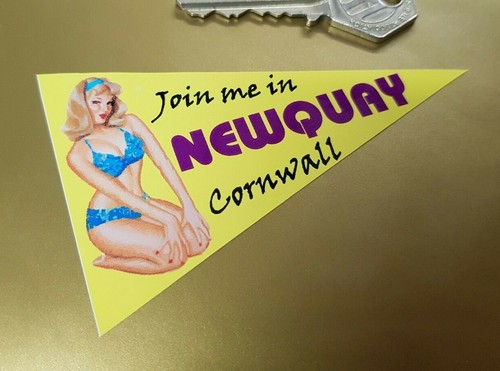 Newquay cornwall holiday - newquay,