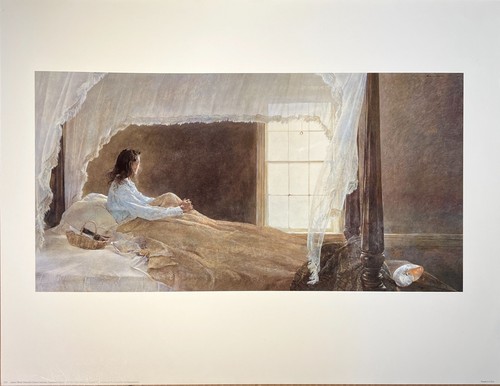 Andrew wyeth chambered - wyeth, "chambered