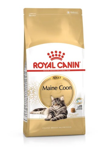 Royal canin maine coon - coon, adult