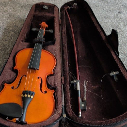 Acoustic string violin - 4-string,