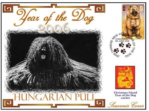 Hungarian puli year - c/i,