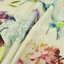 Kingfisher Colourful Bird