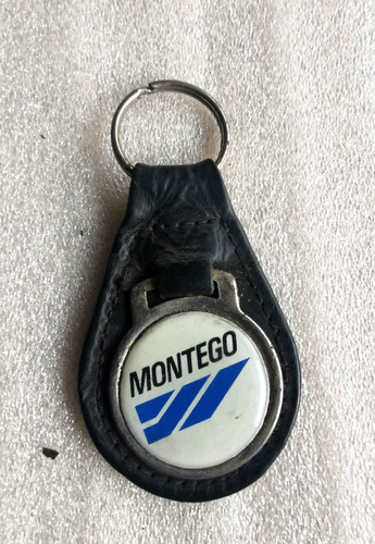Vintage austin montego - austin, enamel