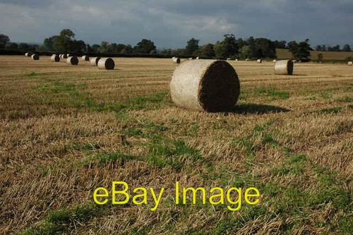 Photo 6x4 round - photo,