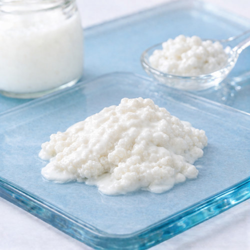 30g organic milk kefir grains - organic,