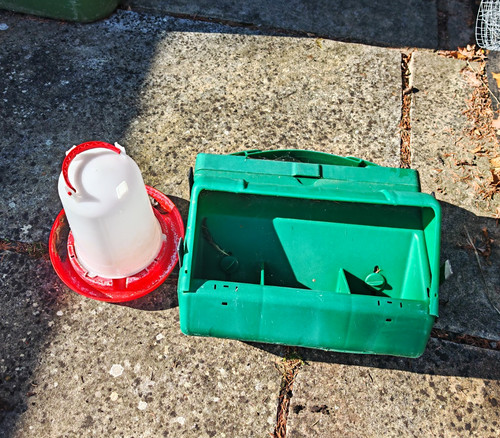 Plastic chicken poultry - chicken,