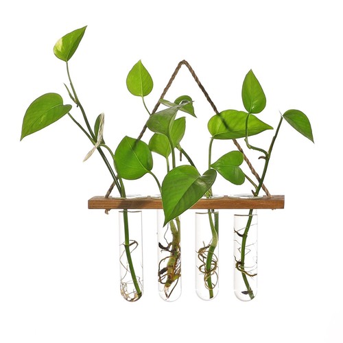 Hanging glass planter - glass,