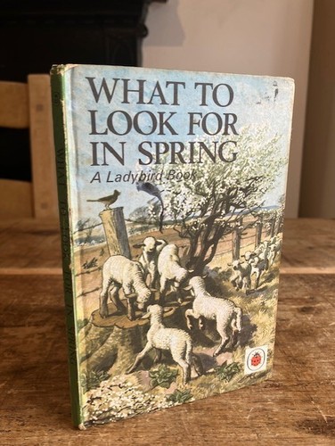 Ladybird what look for - what,