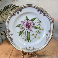 Spode Stafford Flowers Plate No. 5 Rhododendron & Prinsepia Bone China 23.5cm