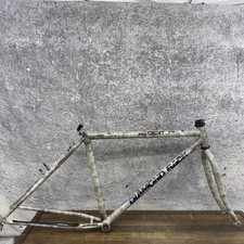 Vintage Diamond Back Ascent EX