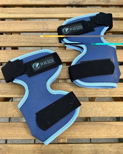 Equine magnetix magnetic hock - magnetix,