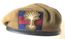 WELSH GUARDS BERET & OR's  CAP BADGE -  VETERAN, WG