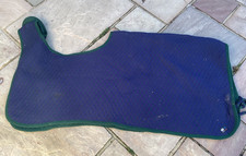 COLIN COOK blue and green