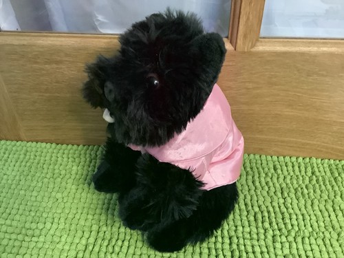 Harrods cute scottie - scottie, dog
