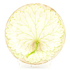 England Ceramic Plate Josiah