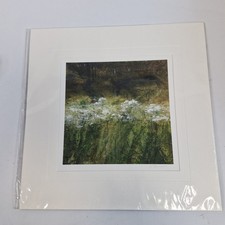 Jackie Stevenson Cow Parsley