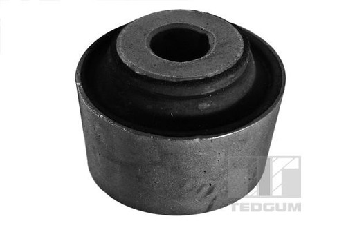 Tedgum 00261956 mounting - 00261956,