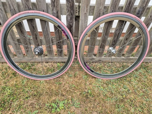Campagnolo shamal spoke - shamal, 16