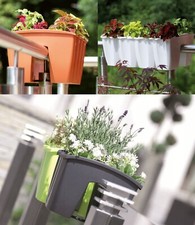 Flower Bridge Hanging Planter