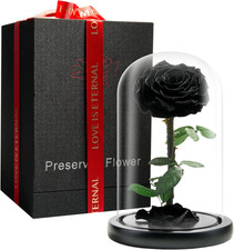 Forever Preserved Rose -