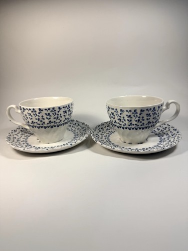 Pair royal victoria rose - victoria,