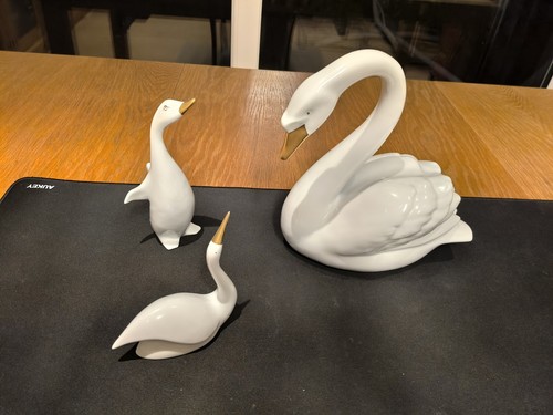 Hollohaza swan and geese - hollohaza,