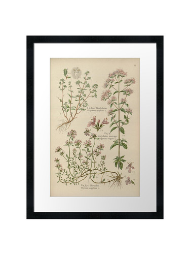 Botanical framed wall art - 45,