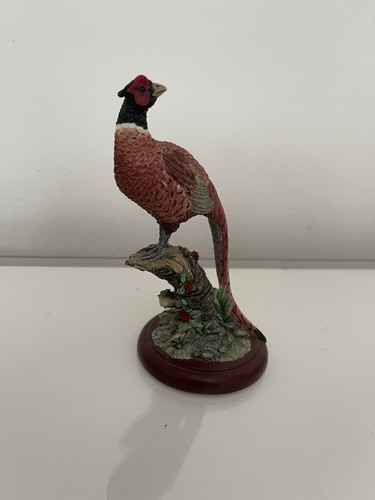 Border fine art - border,