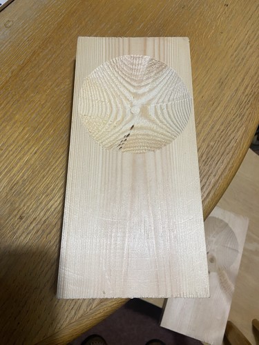 Budgie concaves pine - ,