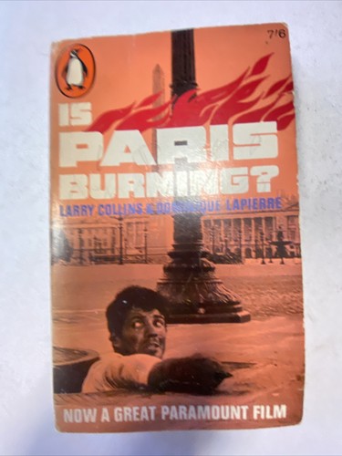Paris burning by larry - paris,